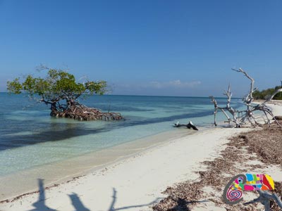 Plage paradisaque Cayo Levisa