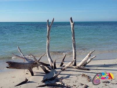 Plage de rêve Cayo Levisa Cuba Plage de rêve Cayo Levisa Cuba