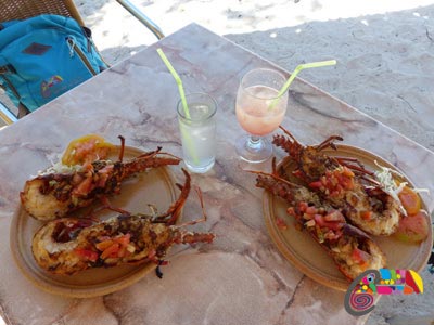 Langouste sur la plage Cayo Levisa Cuba Langouste sur la plage Cayo Levisa Cuba
