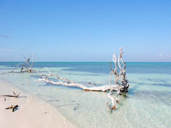 Voyage chez l'habitant à Cuba Baignade dans des euax cristallines a Cayo Levisa