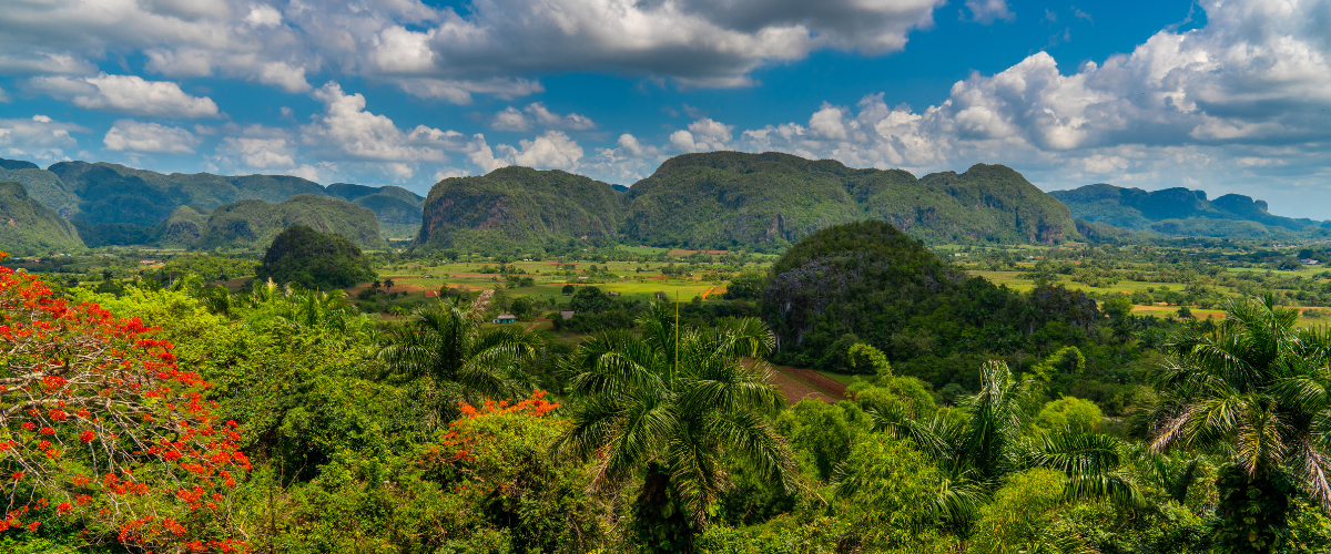 Baroudeur "La Perle des Caraïbes" circuit voyage chez l'habitant à Cuba