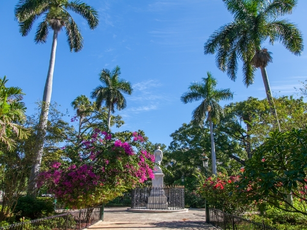 Voyage chez l'habitant à Cuba jardin botanique promenade