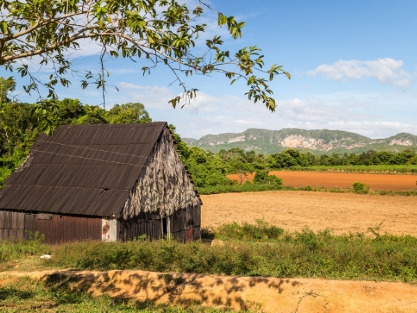 Voyage chez l'habitant à Cuba paysage typique de l ouest cubain