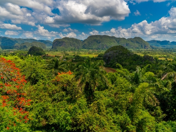 Voyage chez l'habitant à Cuba vue panoramique sur les mogotes a vinales